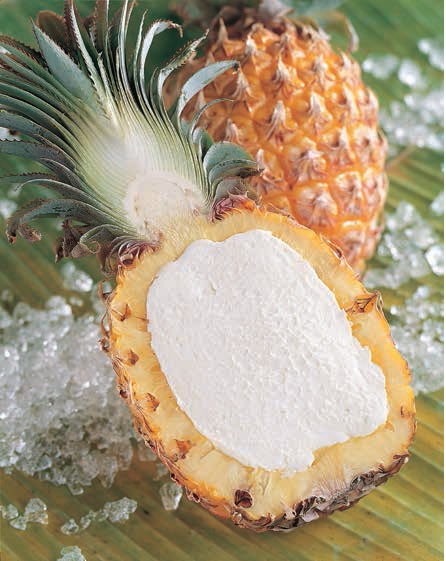 0515 - Sorbeti ananas in fruct