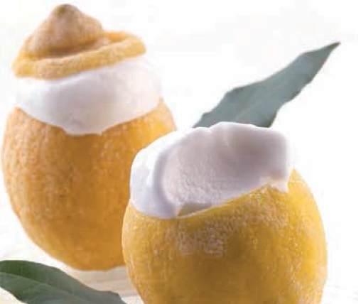 0567 - Sorbeti lamaie in fruct