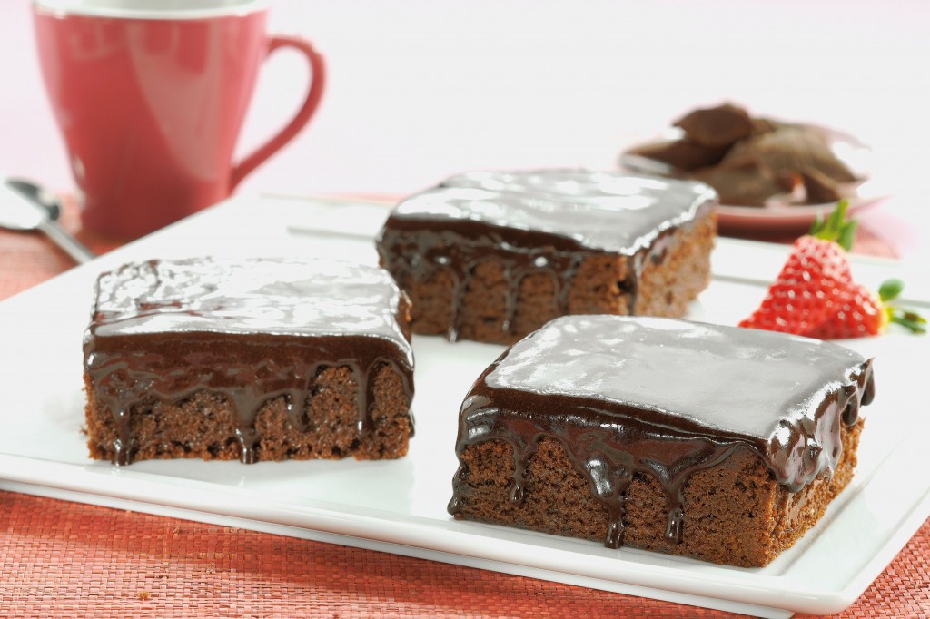 27869 - TORT FUDGE